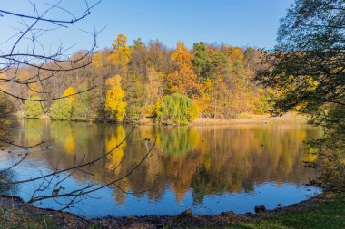 Moskova 'daki sonbahar parkı ve gölet manzarası, altın sonbahar.