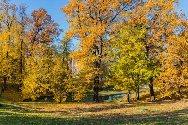 Moscow Rússia Outubro 2018 Árvores Bordo Outono Folhas Parque Tsaritsyno — Fotografia de Stock