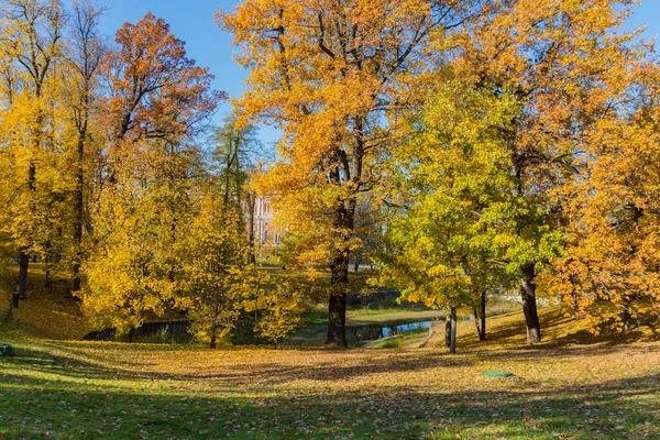 Árvores Bordo Outono Folhas Parque Tsaritsyno — Fotografia de Stock