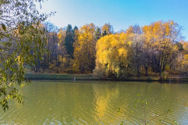 Moscou Russie Octobre 2018 Vue Panoramique Sur Étang Dans Parc — Photo