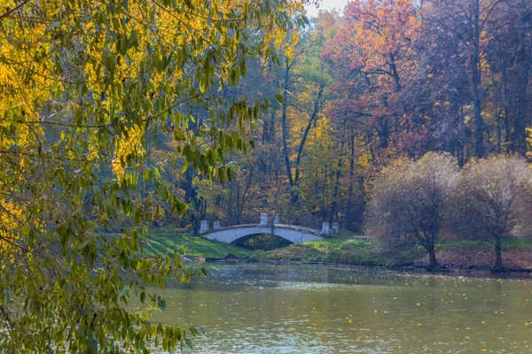 Vista Panorâmica Para Ponte Parque Outono — Fotografia de Stock