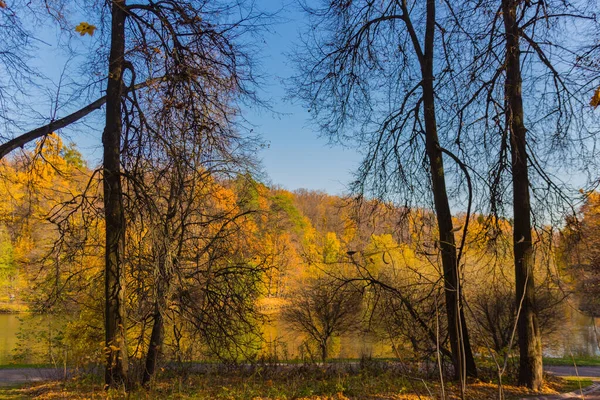 Vista Panorâmica Para Parque Outono Outono Dourado Moscou — Fotografia de Stock