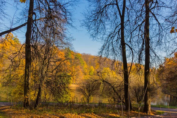 Vista Panorâmica Para Parque Outono Outono Dourado Moscou — Fotografia de Stock