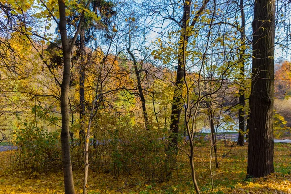 Vista Panorâmica Para Parque Outono Outono Dourado Moscou — Fotografia de Stock