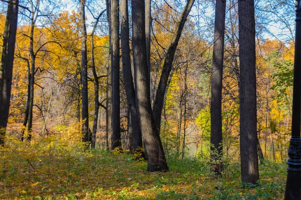 Vista Panorâmica Para Parque Outono Outono Dourado Moscou — Fotografia de Stock