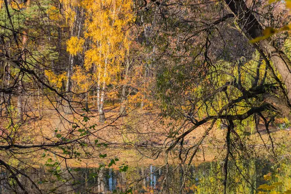 Vista Panorâmica Para Parque Lagoa Outono Outono Dourado Moscou — Fotografia de Stock