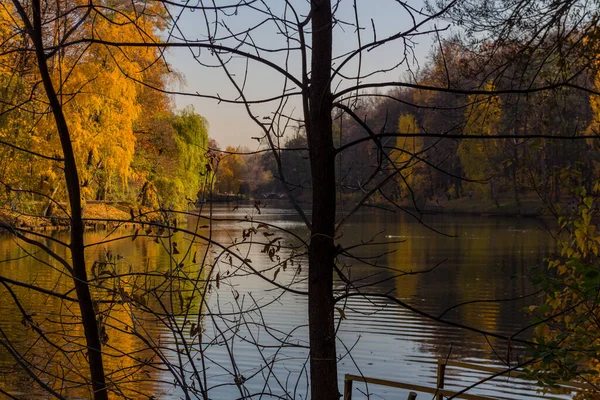 Vistas Panorámicas Parque Estanque Otoño Moscú Otoño Dorado —  Fotos de Stock