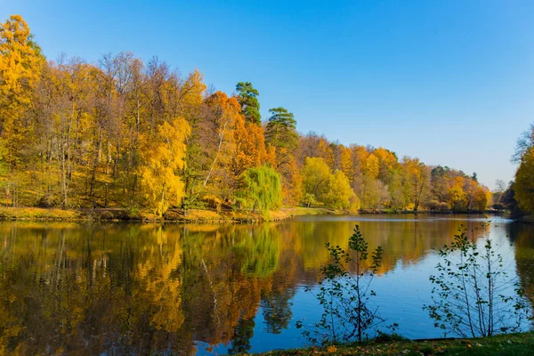 Widok Jesienny Park Staw Moskwie Złota Jesień — Zdjęcie stockowe