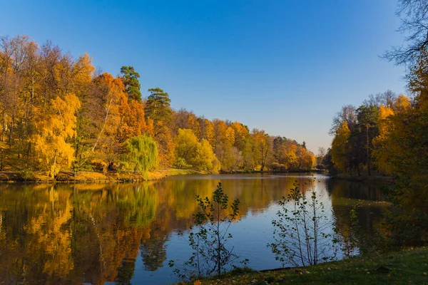 Widok Jesienny Park Staw Moskwie Złota Jesień — Zdjęcie stockowe