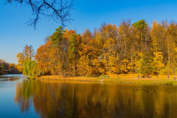 Moskau Russland Oktober 2018 Blick Auf Den Teich Zaritsyno Park — Stockfoto