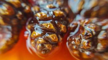 Genç kozalaklı makro reçel. Faydalı ve lezzetli bir tatlı. Geleneksel Sibirya tatlısı.