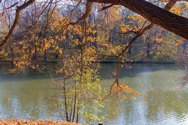 Vista Panorâmica Para Parque Lagoa Outono Outono Dourado Moscou — Fotografia de Stock