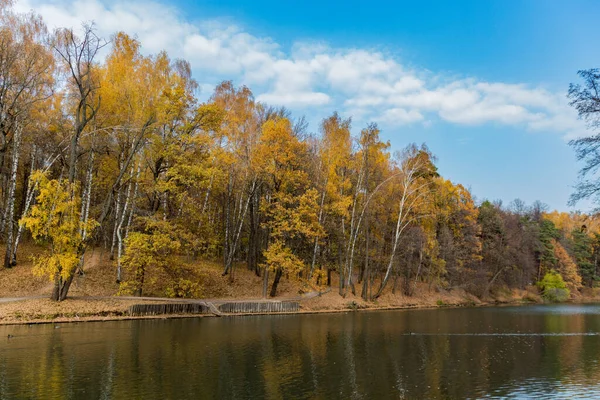 Vue Panoramique Sur Parc Automne Étang Moscou Automne Doré — Photo