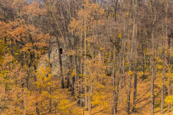 Moskva Ryssland Oktober 2018 Landskapsutsikt Till Ruintornet Tsaritsyno Prak Hösten — Stockfoto