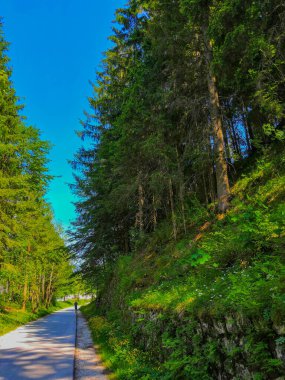 Kranjska Gora, Slovenya - 07 Haziran 2019: Podkoren köyü yakınlarında yürüyen bir turist. Podkoren, Slovenya 'nın kuzeybatısında Kranjska Gora belediyesine bağlı bir köydür..