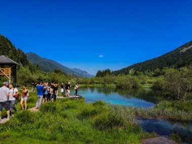 Kranjska Gora, Slovenya - 07 Haziran 2019: Kranjska Gora Zelenci Parkı. Slovenya 'da Zelenci Gölü yakınlarında yaz boyunca yürüyen insanlar. Gölün arkasındaki yeşil orman ve tarlalar.
