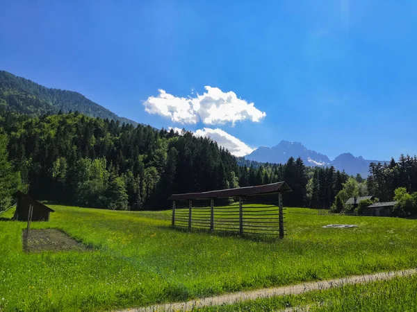 スロベニア オーストリア イタリアの国境近くにあるKransjka Goraの牧草地と山の美しいアルプスの風景 — ストック写真