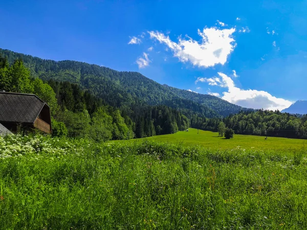 Bela Paisagem Eslovena Prados Montanhas Nos Alpes Perto Das Fronteiras — Fotografia de Stock