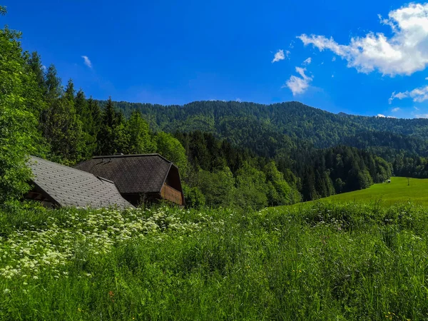 Piękny Słoweński Krajobraz Łąki Gór Alpach Pobliżu Granic Słowenii Austrii — Zdjęcie stockowe