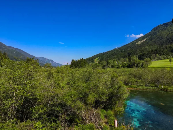 Parque Kranjska Gora Zelenci Lago Zelenci Eslovênia Durante Primavera Floresta — Fotografia de Stock