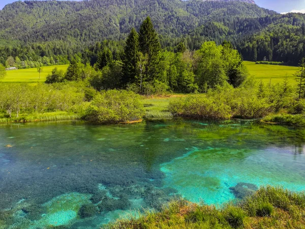 Kranjska Gora Zelenci Park Lake Zelenci Slovenia Spring Green Forest — Stock Photo, Image