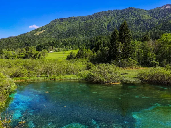 Parco Kranjska Gora Zelenci Lago Zelenci Slovenia Durante Primavera Bosco — Foto Stock