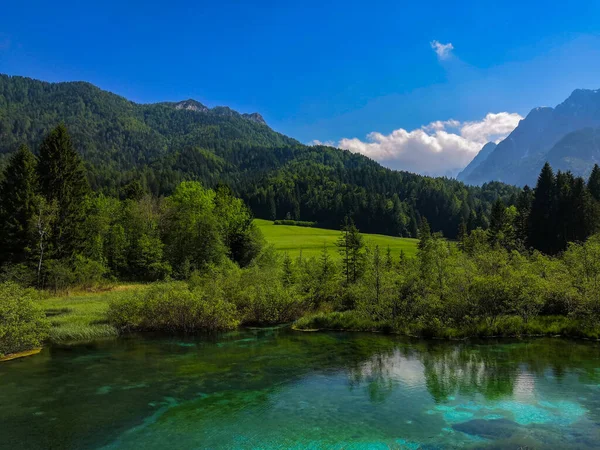 Parque Kranjska Gora Zelenci Lago Zelenci Eslovênia Durante Primavera Floresta — Fotografia de Stock