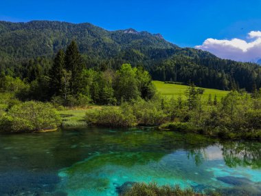 Kranjska Gora Zelenci Parkı. İlkbaharda Slovenya 'daki Zelenci Gölü. Gölün arkasındaki yeşil orman ve tarlalar.