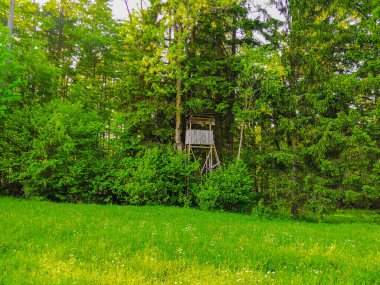 Slovenya 'daki Triglav Ulusal Parkı' ndaki ağaç ev.