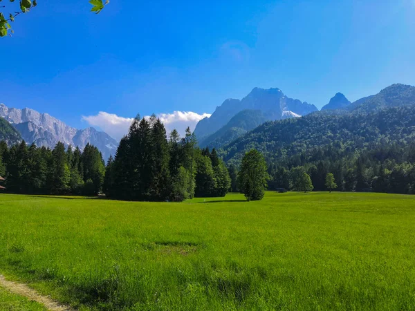 Vackra Alpina Landskap Äng Och Berg Kransjka Gora Nära Gränserna — Stockfoto