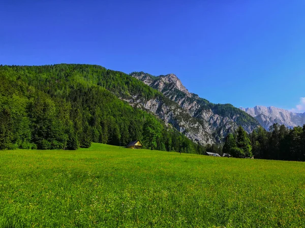 Прекрасний Альпійський Ландшафт Лугів Гір Словенії Поблизу Кордонів Словенії Австрії — стокове фото