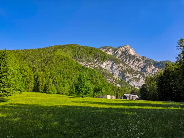 Schöne Slowenische Alm Und Gebirgslandschaft Den Alpen Nahe Der Grenze — Stockfoto