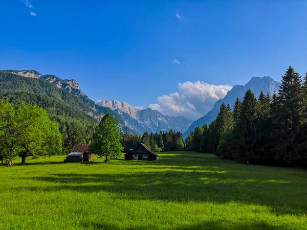 Vackra Alpina Landskap Äng Och Berg Kransjka Gora Nära Gränserna — Stockfoto