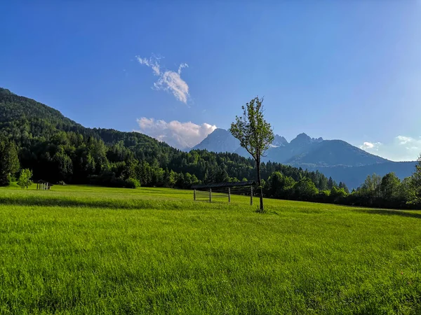 Bela Paisagem Alpina Prado Montanhas Kransjka Gora Perto Das Fronteiras — Fotografia de Stock