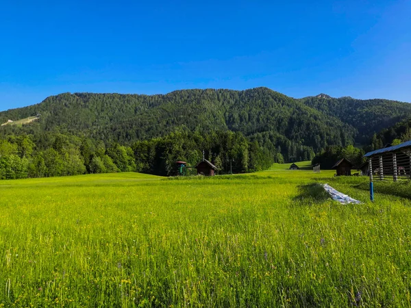 Bela Paisagem Alpina Prados Montanhas Eslovénia Perto Das Fronteiras Eslovénia — Fotografia de Stock