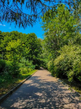 Moskova 'da bir yaz parkında boş bir yol.