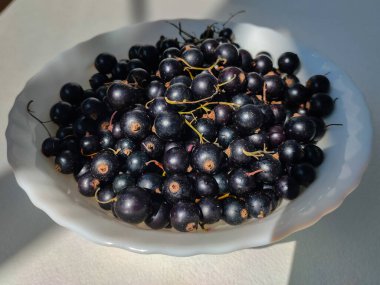 Yabanmersini. Beyaz tabakta olgun yaban mersini. Vitamin ve diyet konsepti. Sağlıklı beslenme. Vejetaryen.