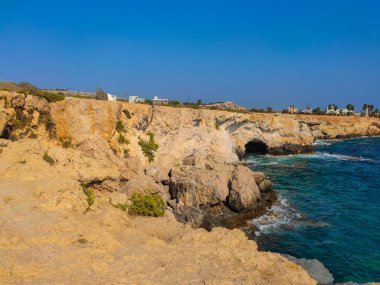 Kıbrıs Rum Kesimi 'nin ünlü 