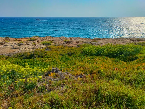 Bonito Prado Outono Com Ervas Verdes Amarelas Perto Mar Mediterrâneo — Fotografia de Stock