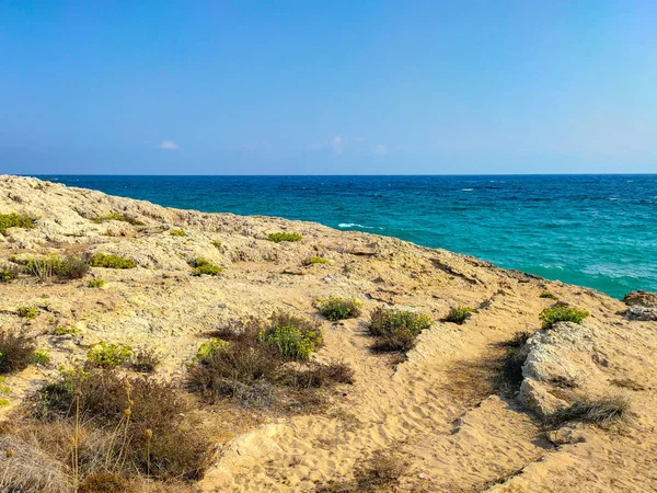 Mare Mediterraneo Vicino Ayia Napa Cipro Vista Rocce Con Erbe — Foto Stock