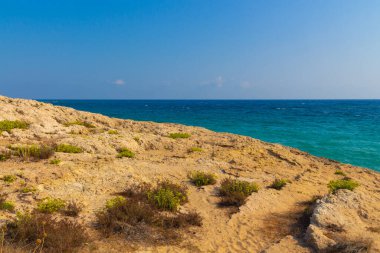 Kıbrıs Rum Kesimi 'nin Ayia Napa kenti yakınlarında Akdeniz manzarası. Otlar ve denizle kayalara bak. Kıbrıs 'ta Sonbahar.