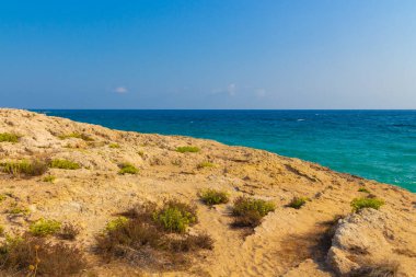 Kıbrıs Rum Kesimi 'nin Ayia Napa kenti yakınlarında Akdeniz manzarası. Otlar ve denizle kayalara bak. Kıbrıs 'ta Sonbahar.