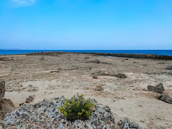 Praia Rochosa Mar Mediterrâneo Ayia Napa Chipre Formações Pedra Natural — Fotografia de Stock