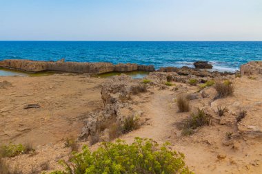 Kıbrıs Rum Kesimi 'nin Ayia Napa kentindeki Akdeniz' in Rocky plajı. Doğal taş oluşumları ve bitkileri.