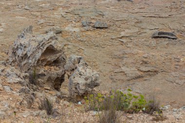 Kıbrıs 'ın Ayia Napa kentindeki Akdeniz plajında doğal taş oluşumları.