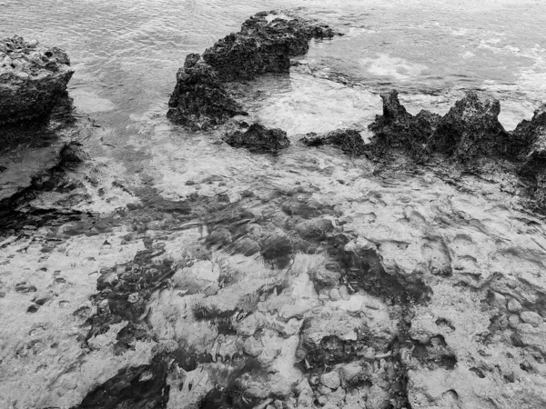 Rocky beach of Mediterranean Sea in Ayia Napa, Cyprus. Natural stone formations. Black and white photo.