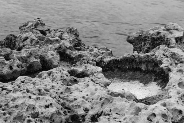 Rocky beach of Mediterranean Sea in Ayia Napa, Cyprus. Natural stone formations. Black and white photo.