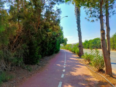 Kıbrıs Rum Kesimi 'nin Ayia Napa kentinde çalılık ve ağaçlarla çevrili bir sokak. Yaz boş Kıbrıs yolu.