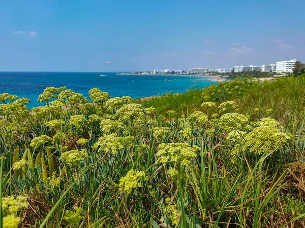 Seascape Vista Para Rochas Praias Areia Hotéis Ayia Napa Chipre — Fotografia de Stock