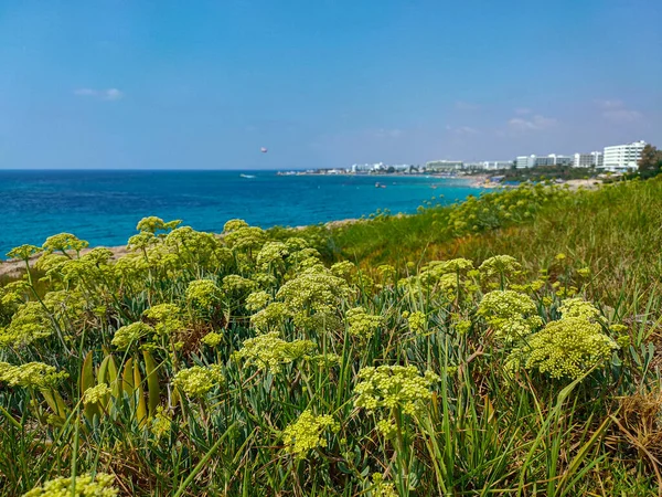 Mare Vista Rocce Spiagge Sabbia Alberghi Ayia Napa Cipro — Foto Stock